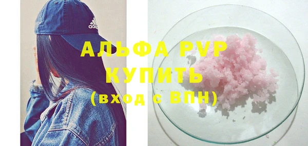 молекула духа Арсеньев