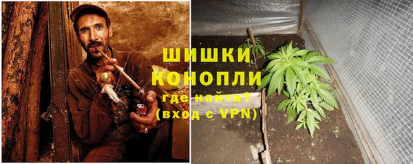 ПСИЛОЦИБИНОВЫЕ ГРИБЫ Армянск