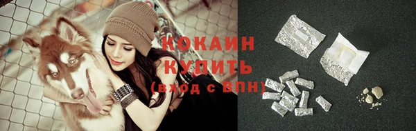 ПСИЛОЦИБИНОВЫЕ ГРИБЫ Армянск